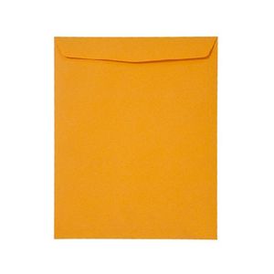 Sobre Manila Gold Carta Especial 25 X 31 X 75Gr Norma