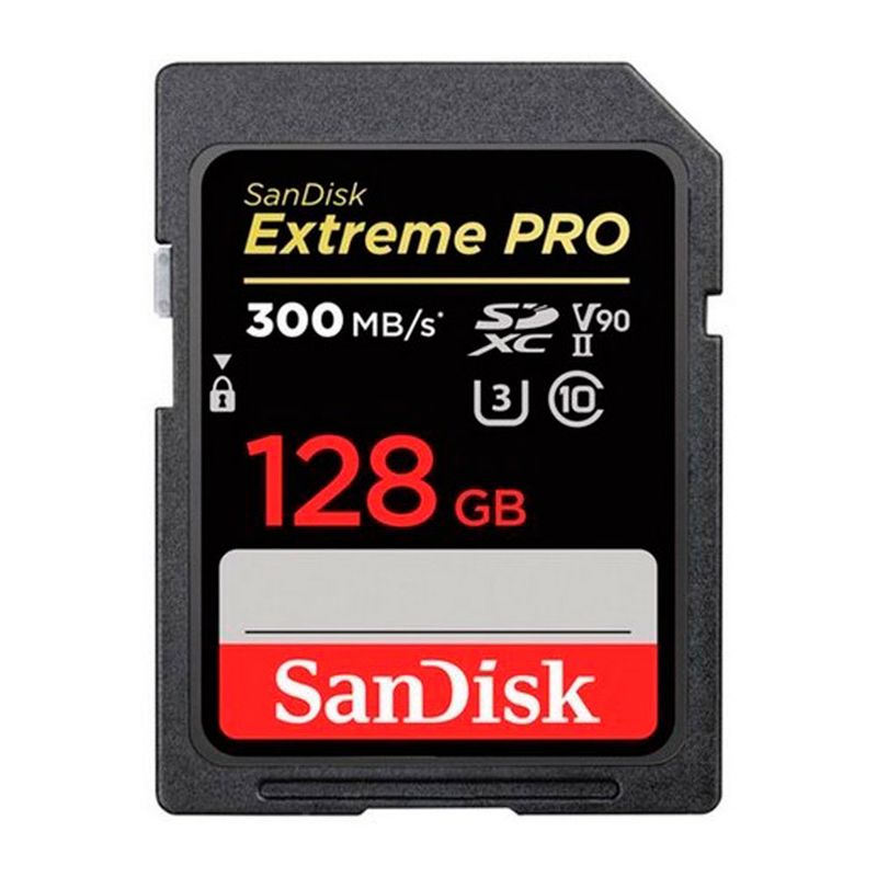 SDSDXDK-128G-GN4IN